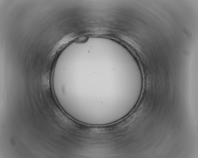 X0000114581451200911091226