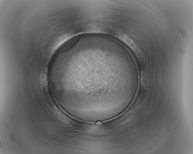 X0000114581452200911091226