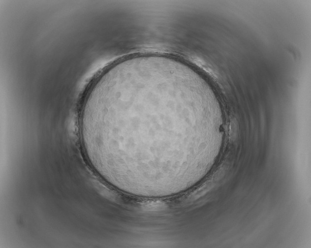 X0000114581454200911091226