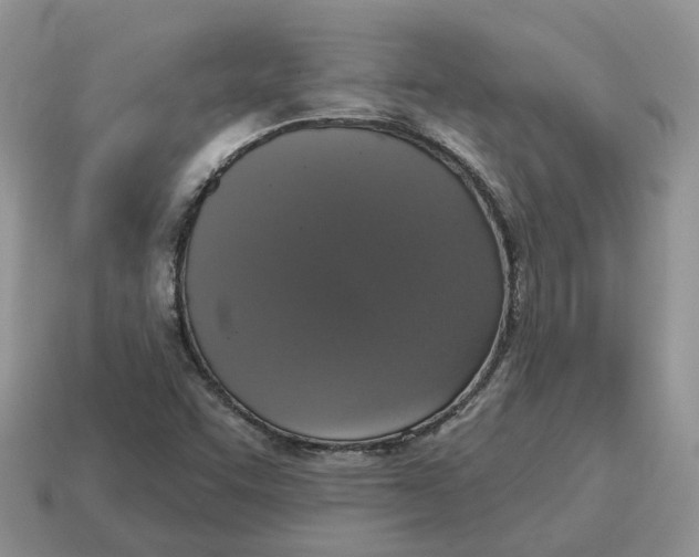 X0000114581455200911091226