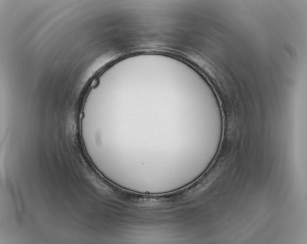 X0000114581458200911091226