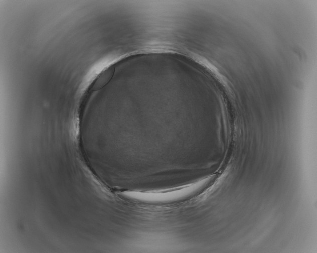 X0000114581461200911091226