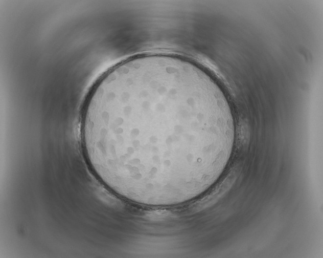 X0000114581462200911091226