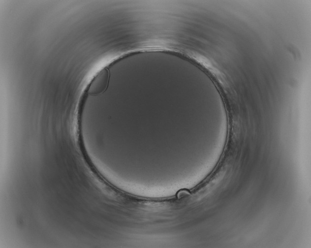 X0000114581469200911091226