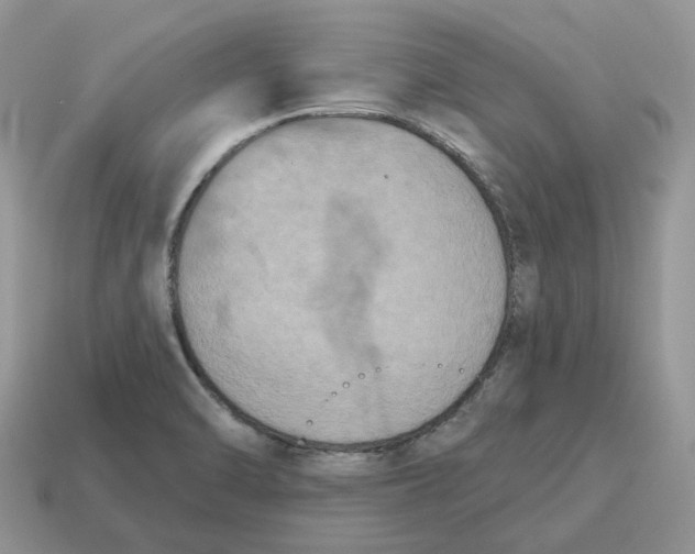 X0000114581470200911091226