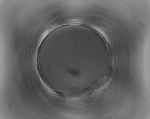 X0000114581475200911091226