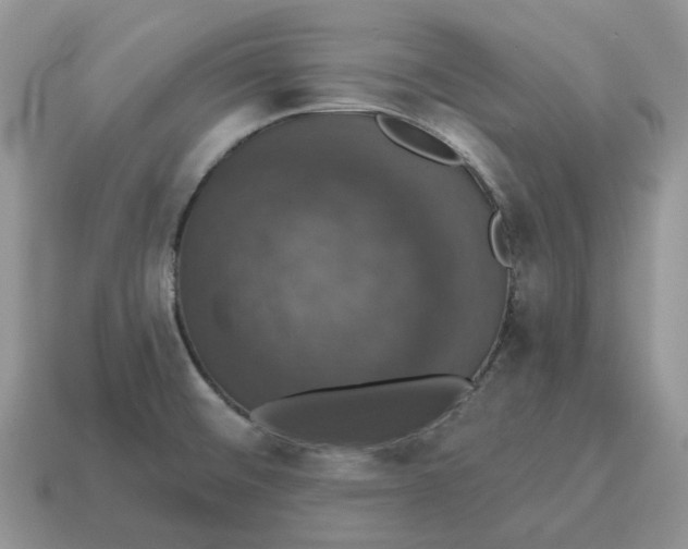 X0000114581476200911091226