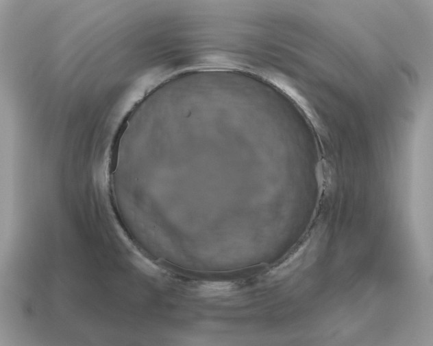 X0000114581477200911091226