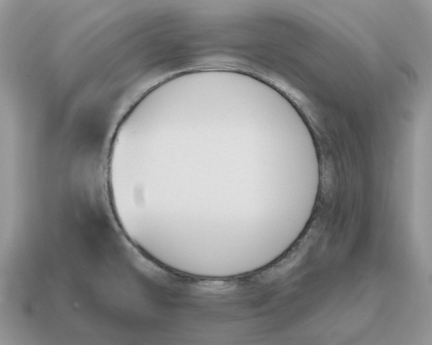 X0000114581478200911091226