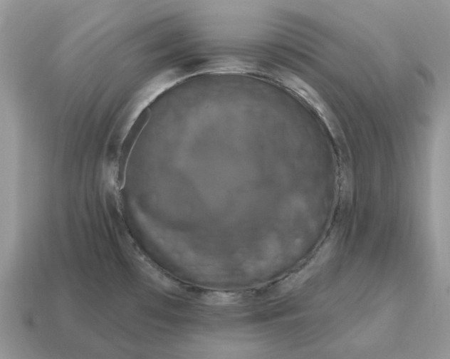 X0000114581481200911091226