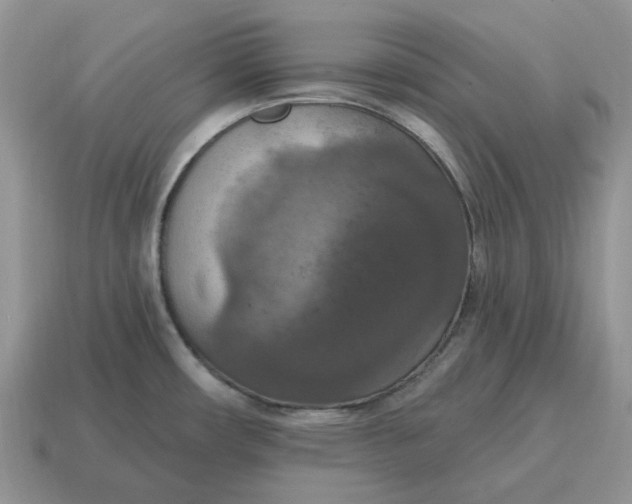 X0000114581482200911091226