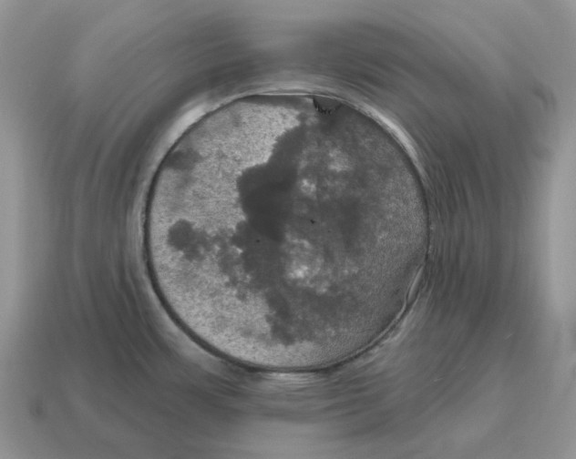 X0000114581483200911091226