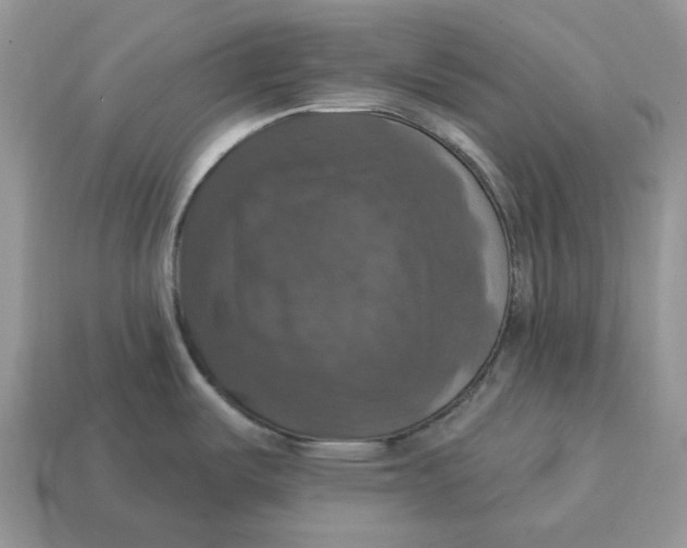 X0000114581487200911091226