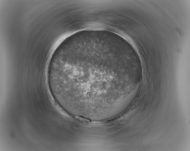 X0000114581488200911091226