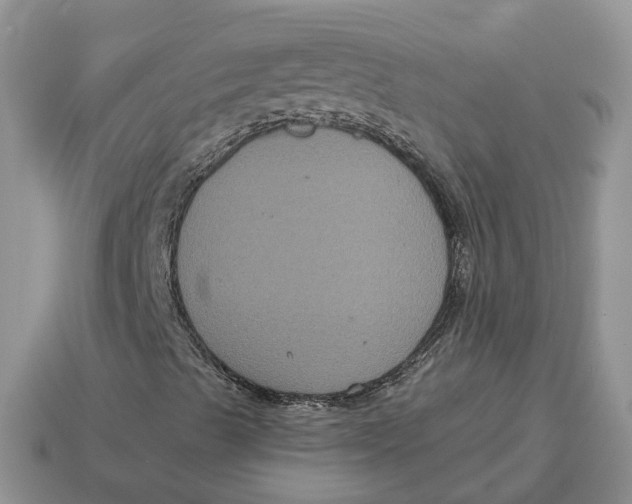 X0000114581489200911091225