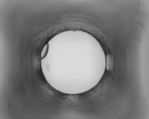 X0000114581491200911091225