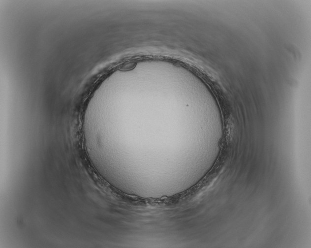 X0000114581494200911091225