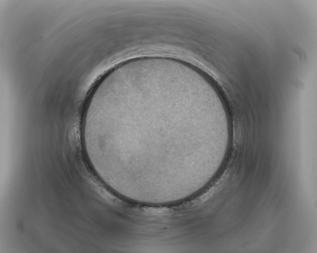 X0000114581498200911091225