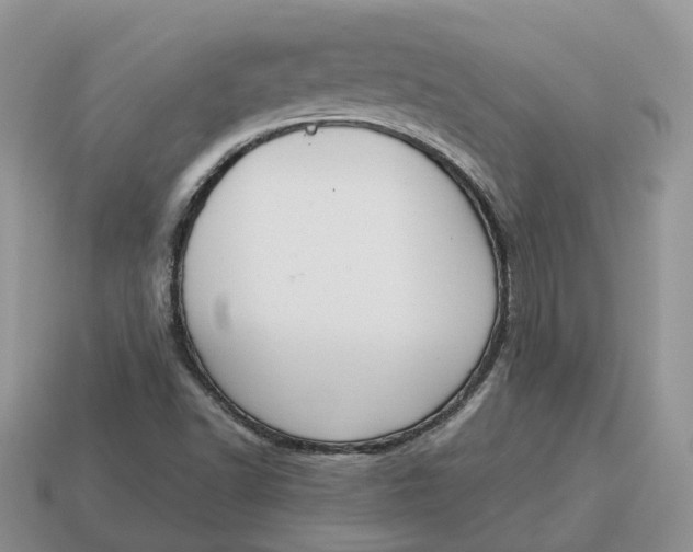 X0000114581502200911091225