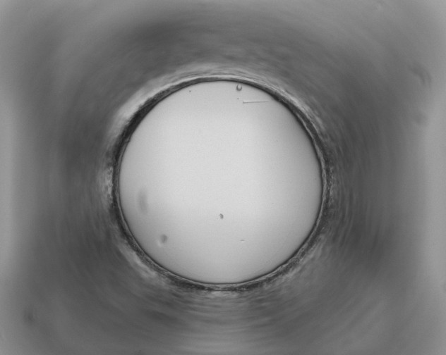 X0000114581503200911091225