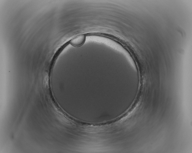 X0000114581505200911091225