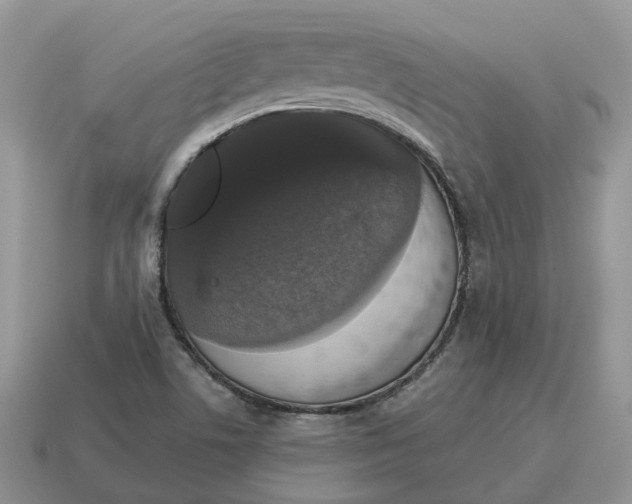 X0000114581506200911091225