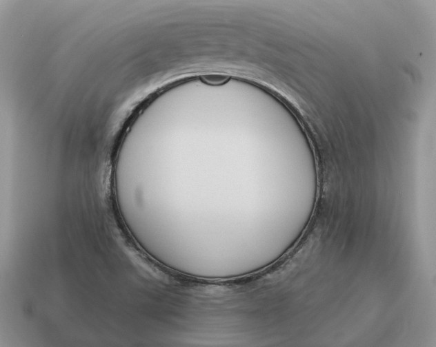 X0000114581507200911091225