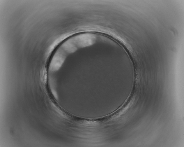 X0000114581509200911091225