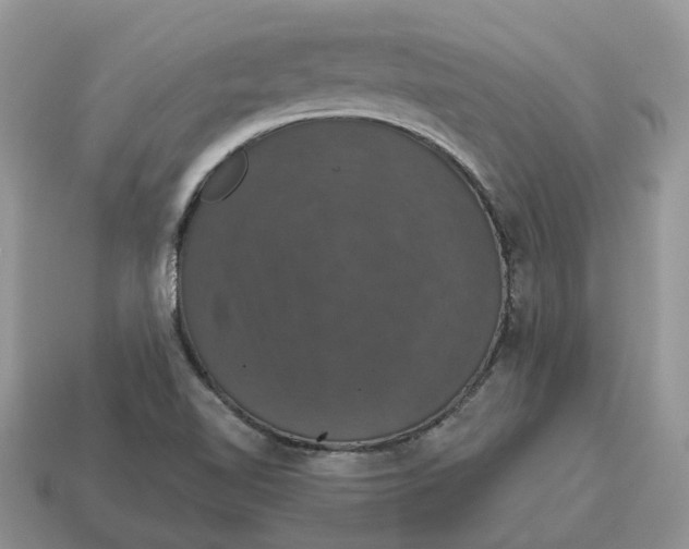 X0000114581510200911091225