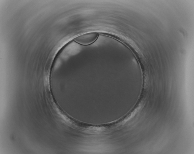 X0000114581513200911091225