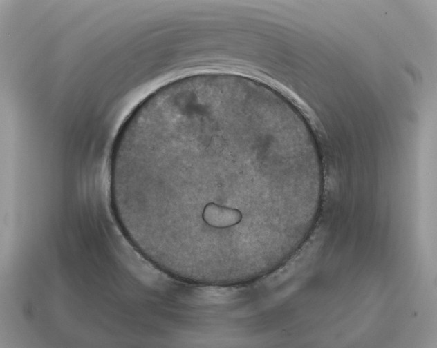 X0000114581514200911091225