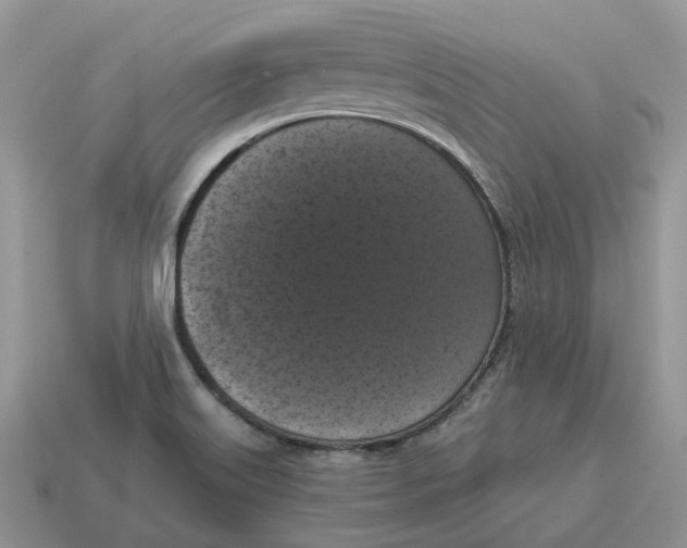 X0000114581515200911091225