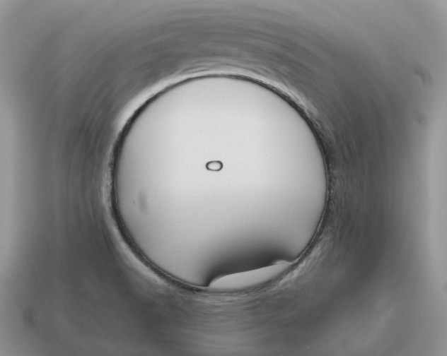 X0000114581518200911091225