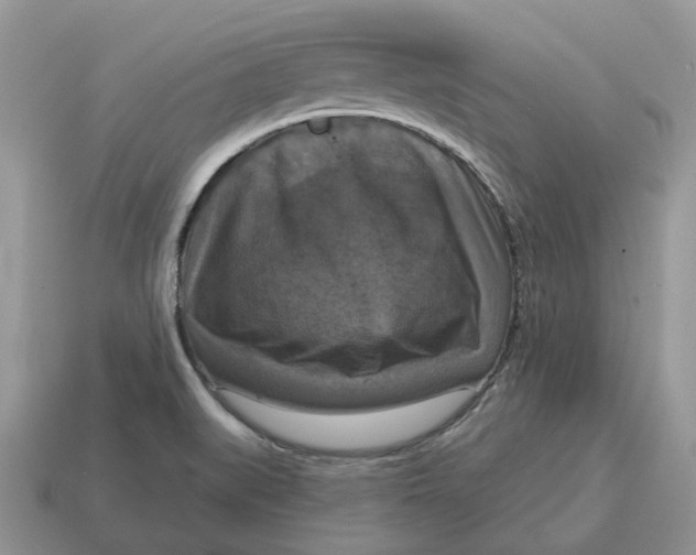 X0000114581519200911091225