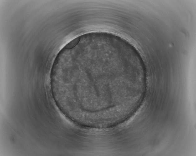 X0000114581521200911091225