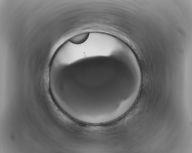 X0000114581522200911091225