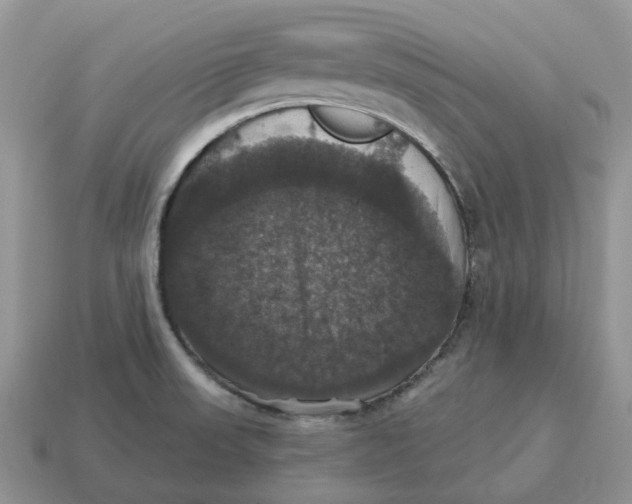 X0000114581523200911091225