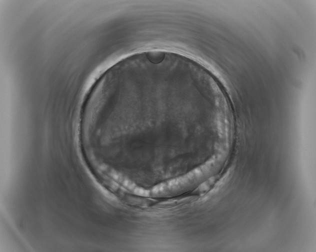 X0000114581525200911091225