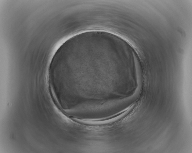 X0000114581527200911091226