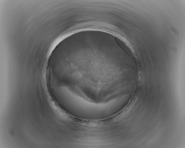 X0000114581530200911091226