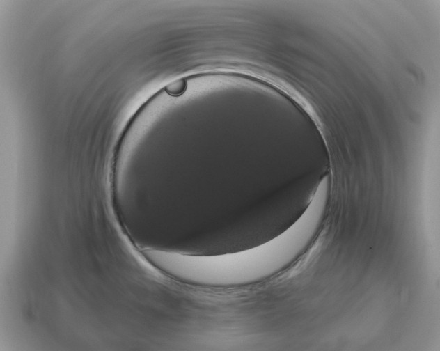 X0000114581533200911091226