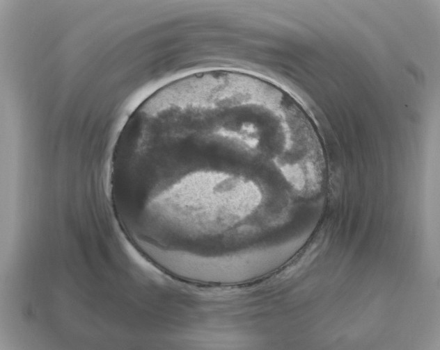 X0000114581535200911091226