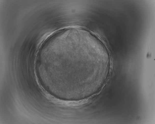 X0000114580001200911161319