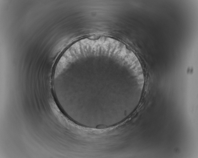 X0000114580002200911161319