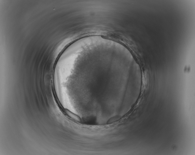 X0000114580003200911161319