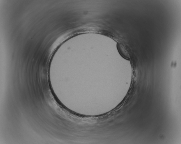 X0000114580004200911161319