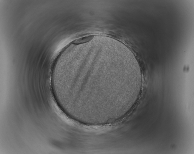 X0000114580005200911161319