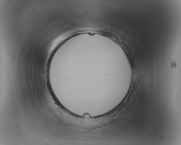 X0000114580006200911161319