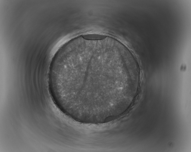 X0000114580007200911161319