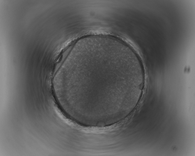 X0000114580009200911161319